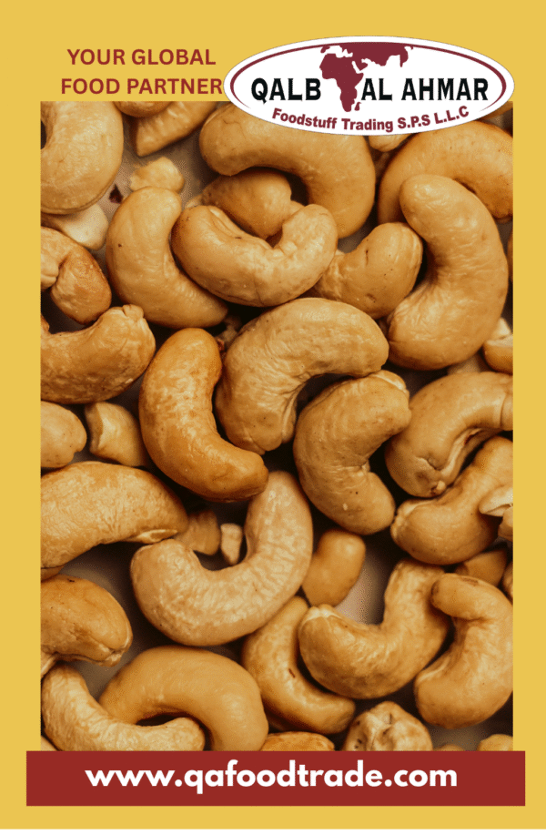 Cashew Nuts Roasted