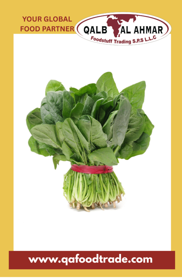 Fresh Spinach Bunch