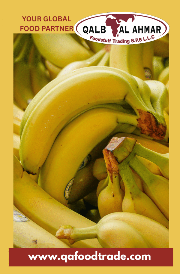 Fresh Bananas