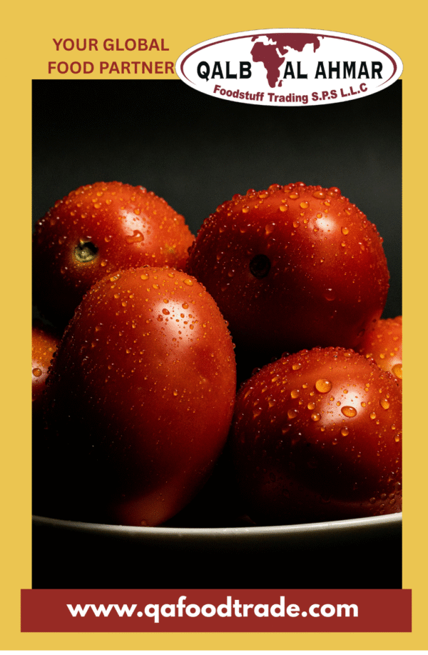 Fresh Tomatoes