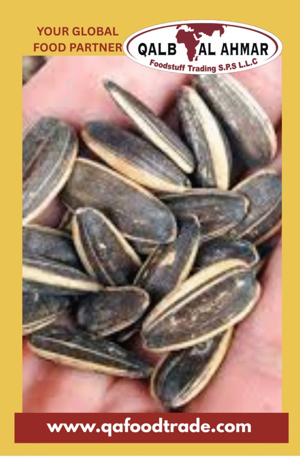 Sunflower Seeds