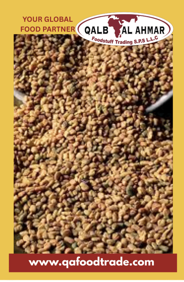 Fenugreek Seeds