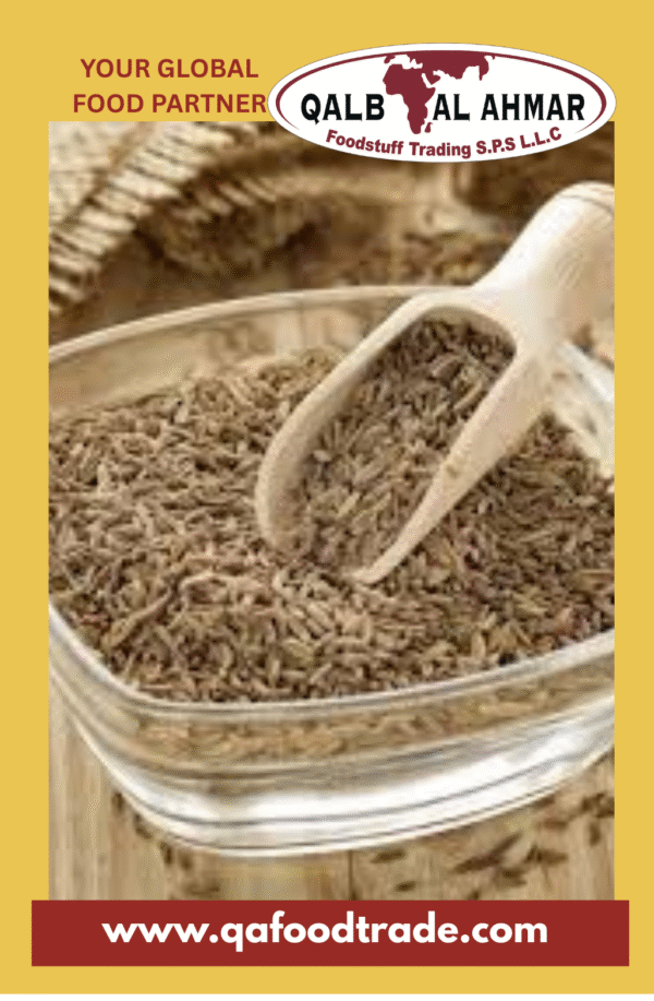 Cumin Seeds Whole