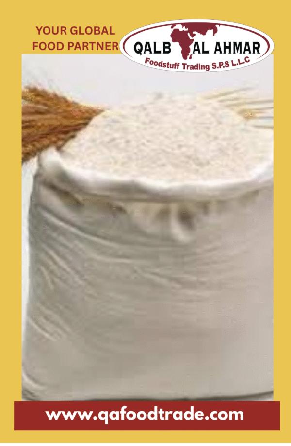Whole Wheat Flour