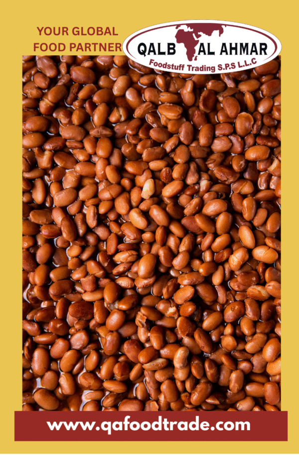 Pinto Beans