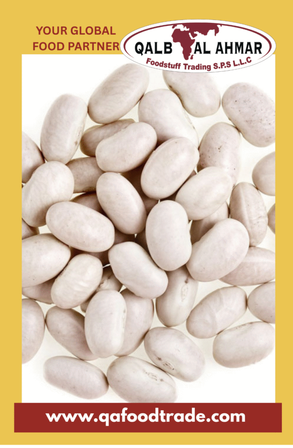 White Navy Beans